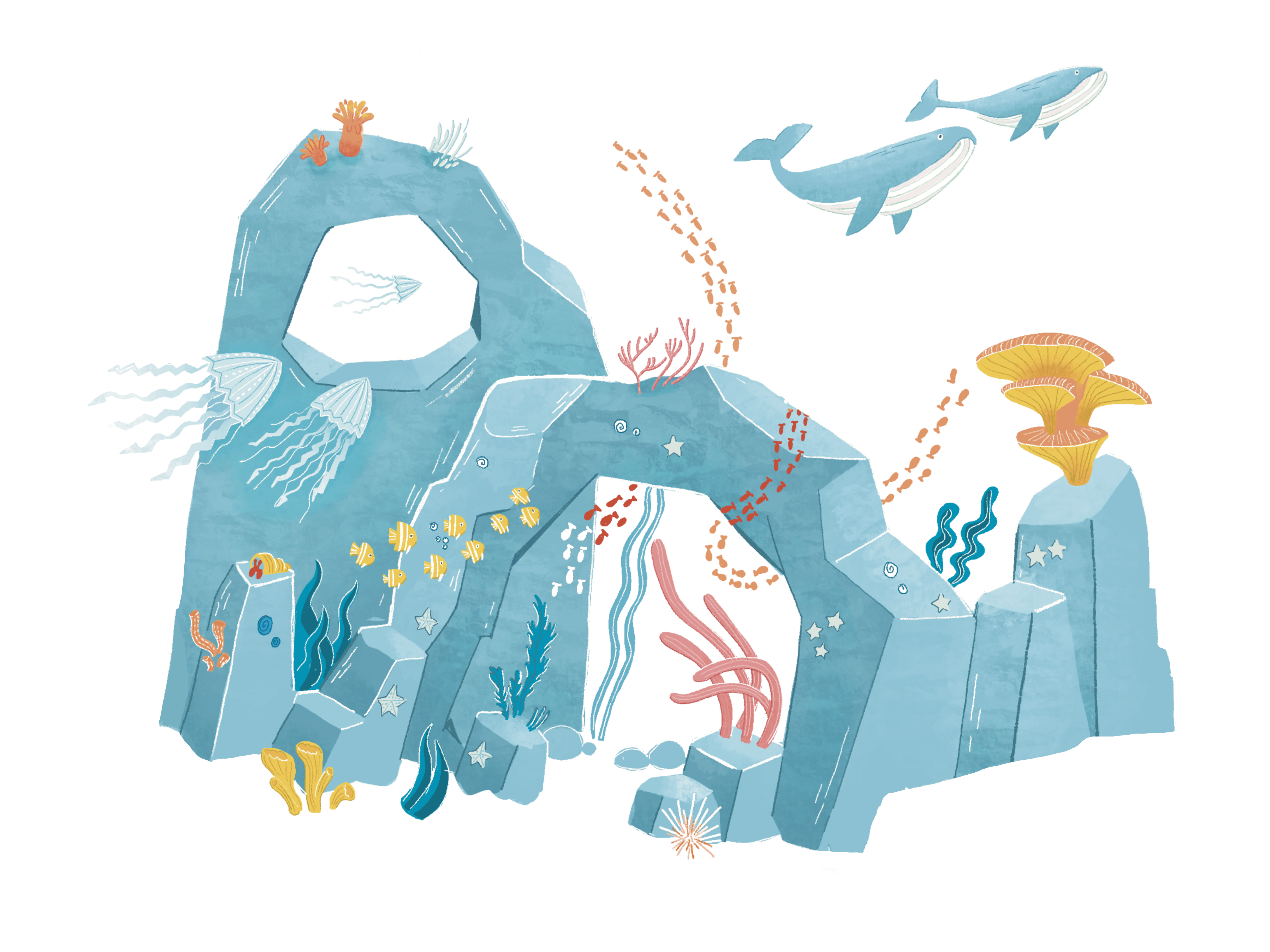 Détails_Extraction